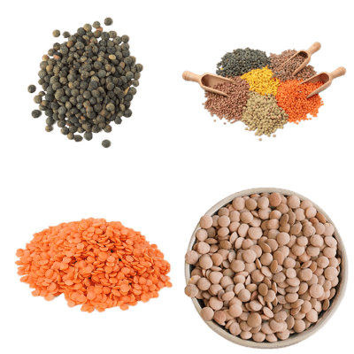 Lentils