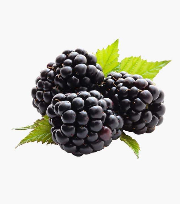 Blackberry 100%organic