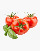 Vegetable tomato fresh