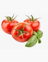 Vegetable tomato fresh