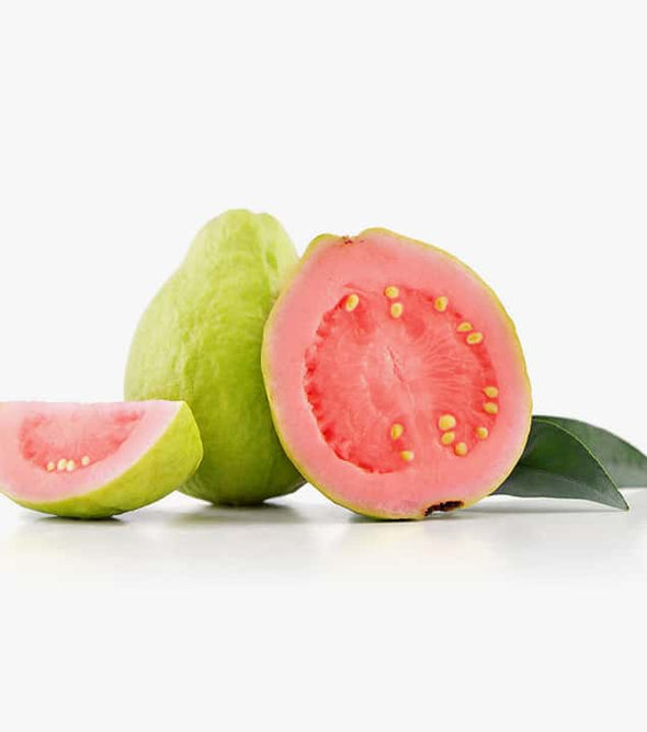 Sp. red fresh guava