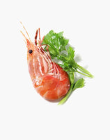 Shrimp - Jumbo (5 lb)