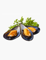 Fresh Mussel (500g)