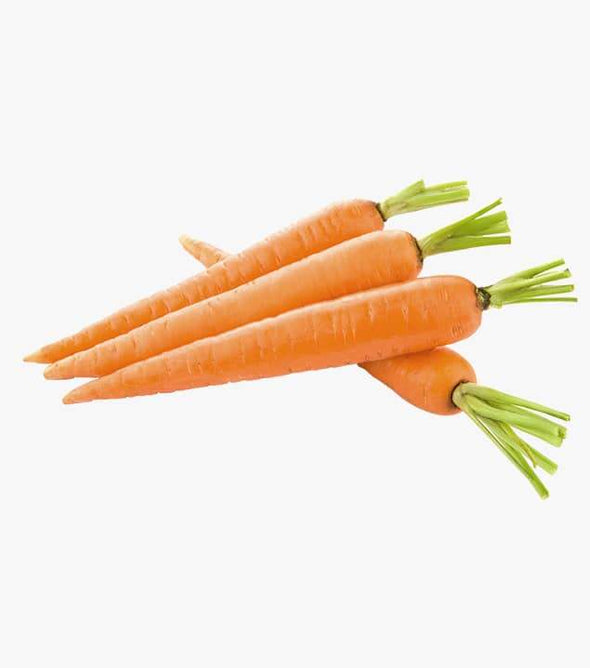 Fresh carrot natural free